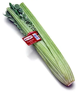 Artyčok kardový