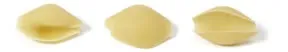conchiglioni
