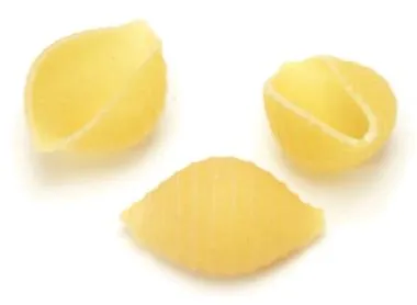 conchiglie