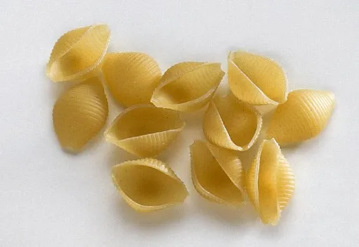 conchigliette