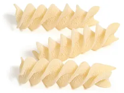 fusilloni