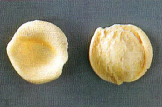 orecchiette