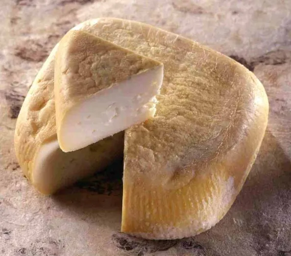 Niolo